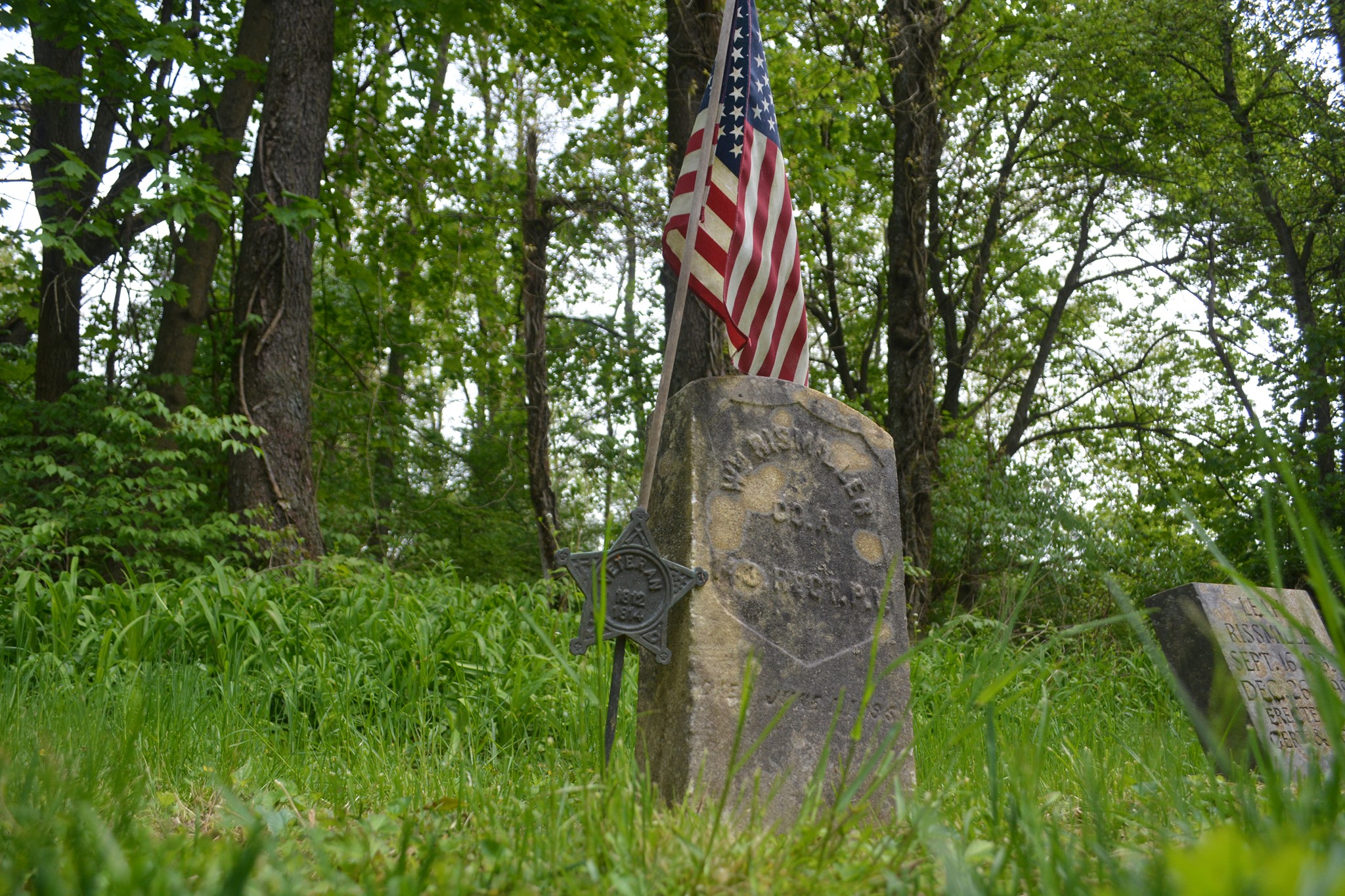 WWI Veteran's head stone with over growth in the woods 